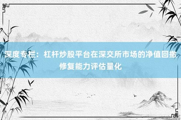 深度专栏：杠杆炒股平台在深交所市场的净值回撤修复能力评估量化