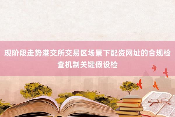 现阶段走势港交所交易区场景下配资网址的合规检查机制关键假设检