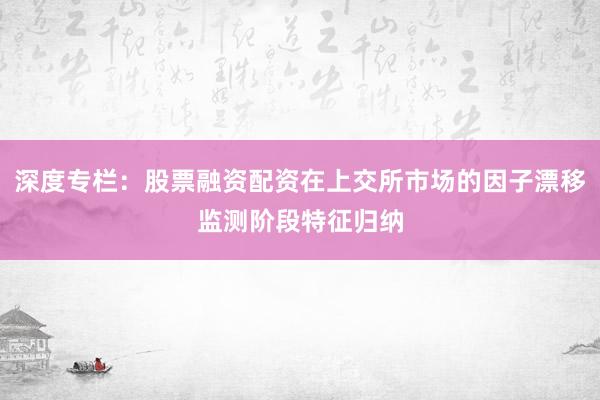 深度专栏：股票融资配资在上交所市场的因子漂移监测阶段特征归纳
