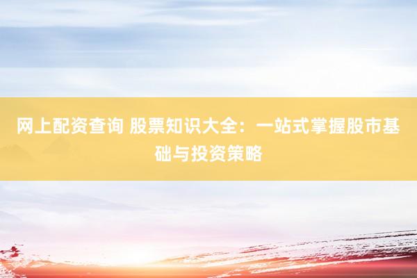 网上配资查询 股票知识大全：一站式掌握股市基础与投资策略